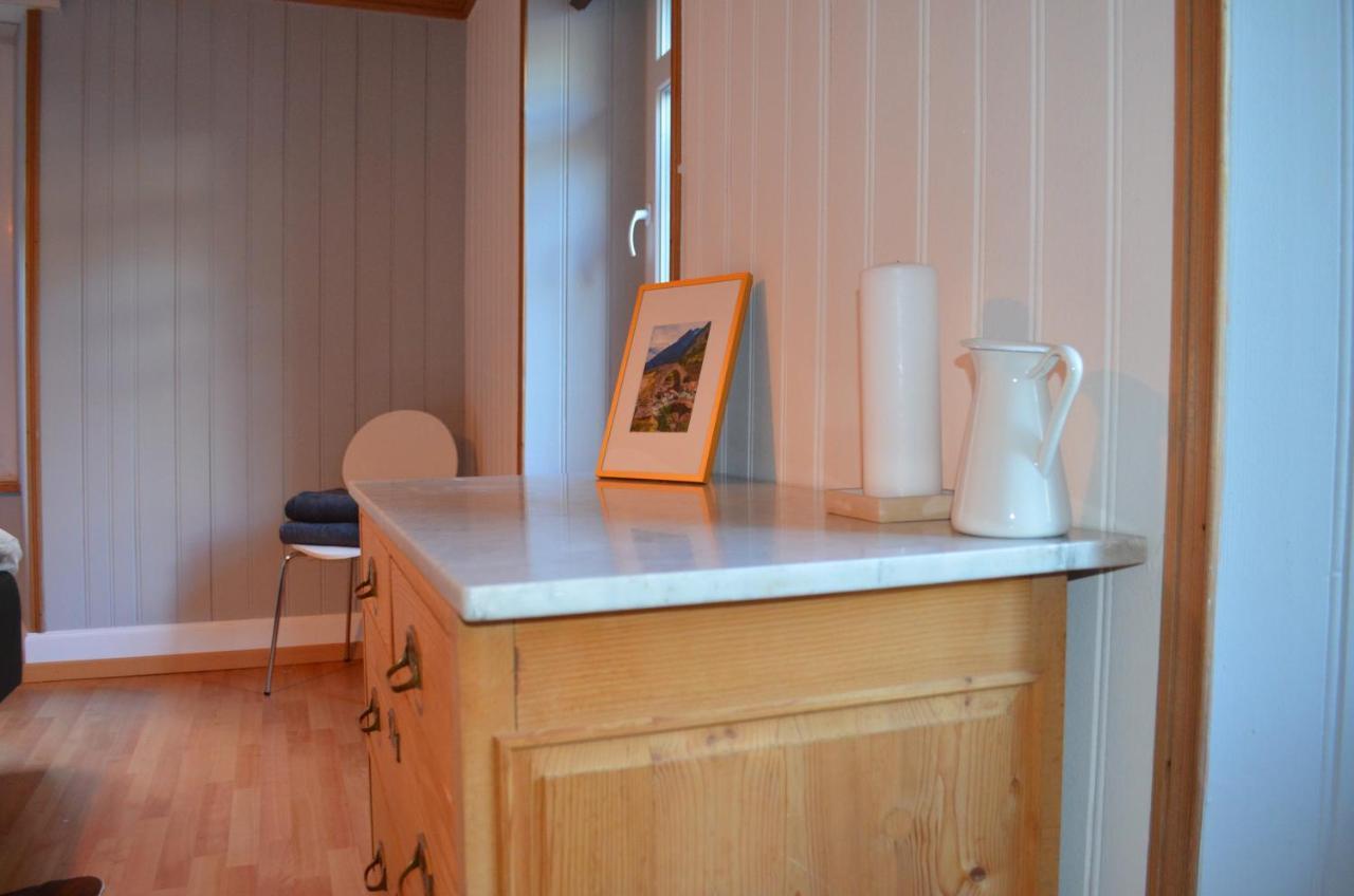 Alpine Haus Apartment Goschenen Bagian luar foto