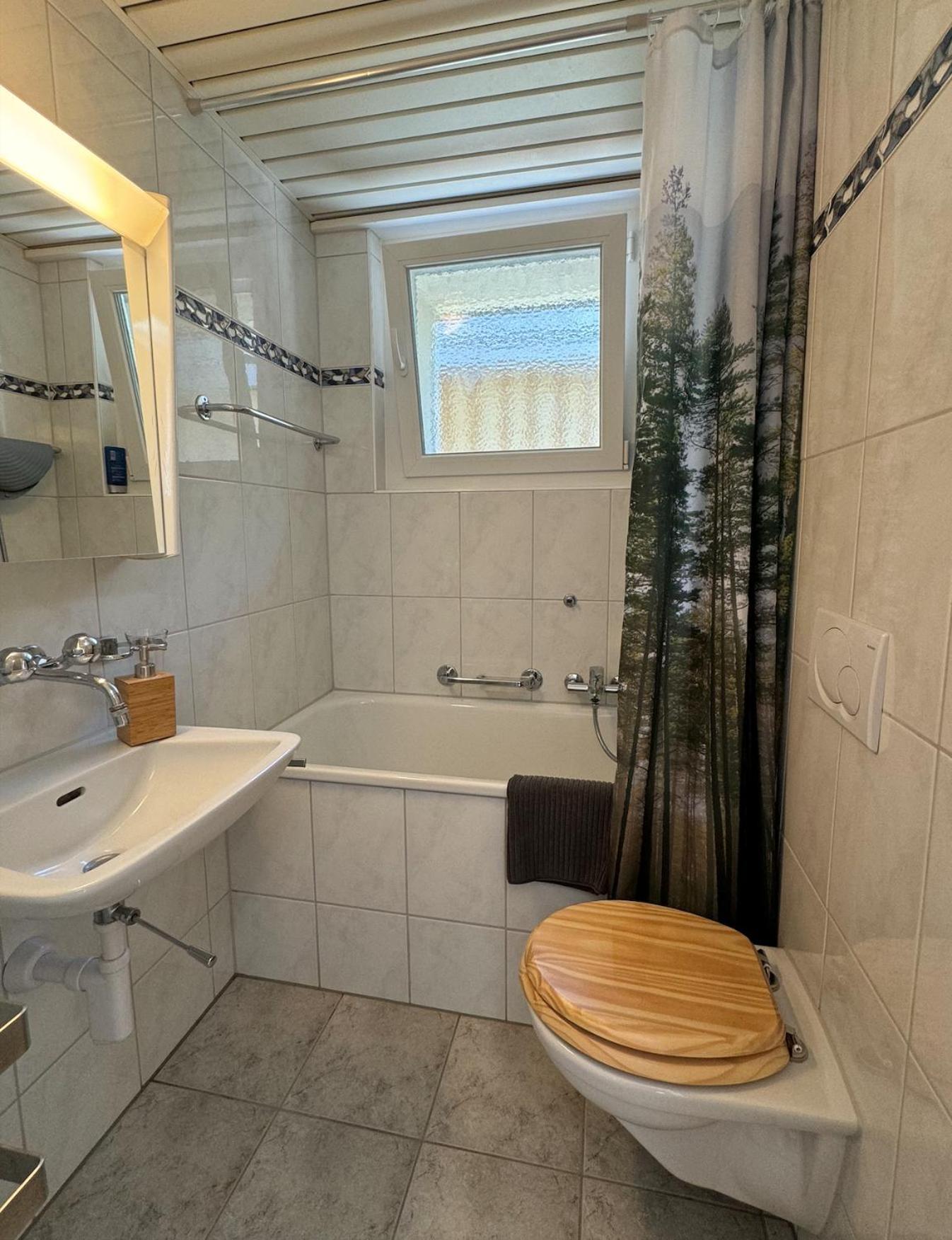 Alpine Haus Apartment Goschenen Bagian luar foto